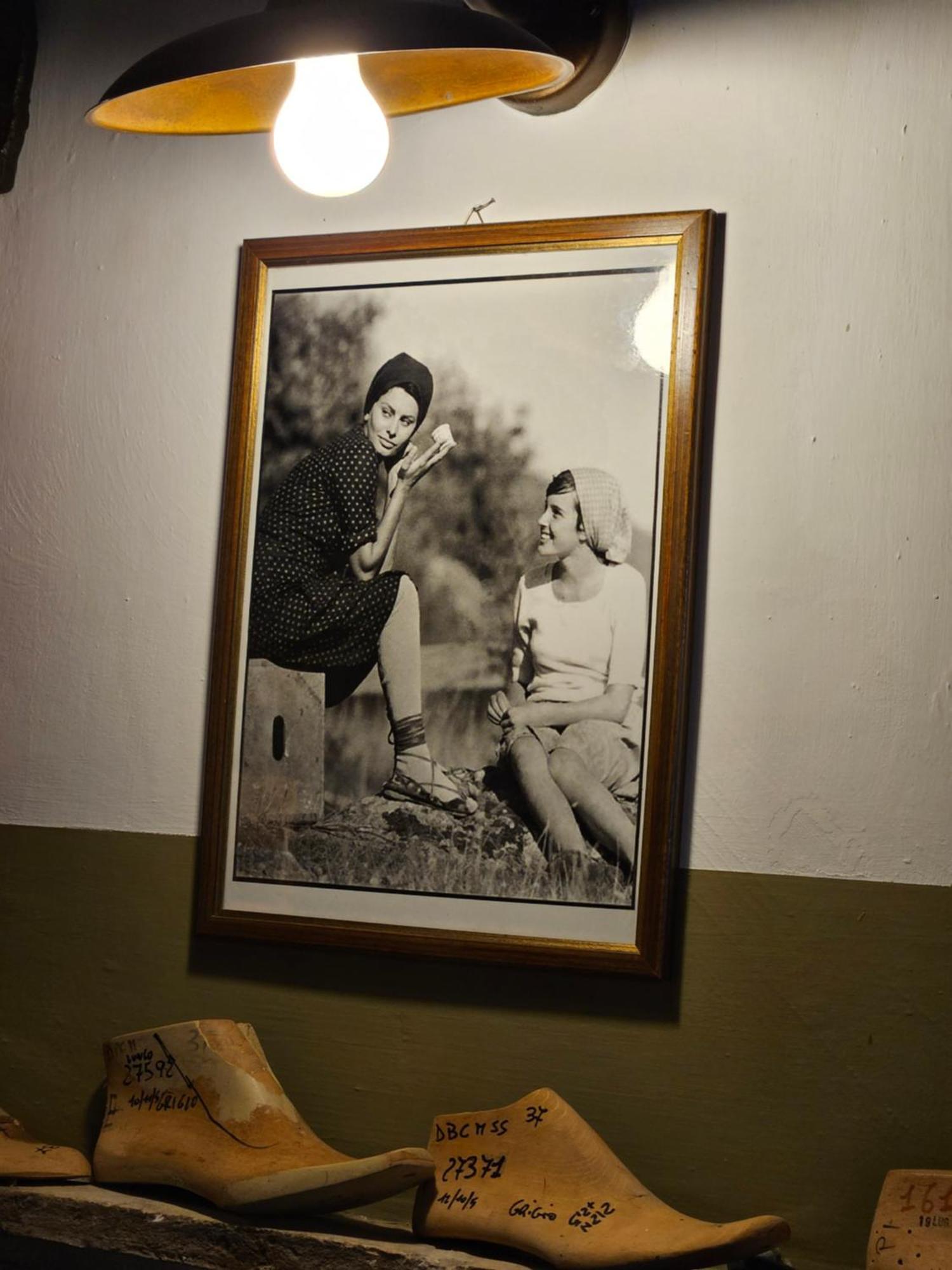 Country House La Cipolla D'Oro Potenza Picena Εξωτερικό φωτογραφία